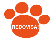 Redovisa resultatet!