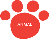 Anmäl nu!