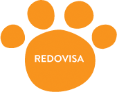 Redovisa resultatet!